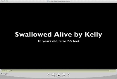 Kelly Stone